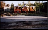 Autobusy szynowe Y7 i Y6 zarastają krzakami za obrotnicą. Arvidsjaur, 3.VII.2001