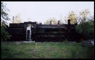 Parowóz E2 1241 schowany w krzakach za lokomotywownią. Arvidsjaur, 3.VII.2001