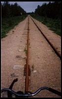 W drodze powrotnej do Arvidsjaur - tak wygląda szlak z siodełka roweru-drezyny. 4.VII.2001